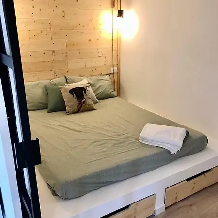 The Greenhouse Apartment